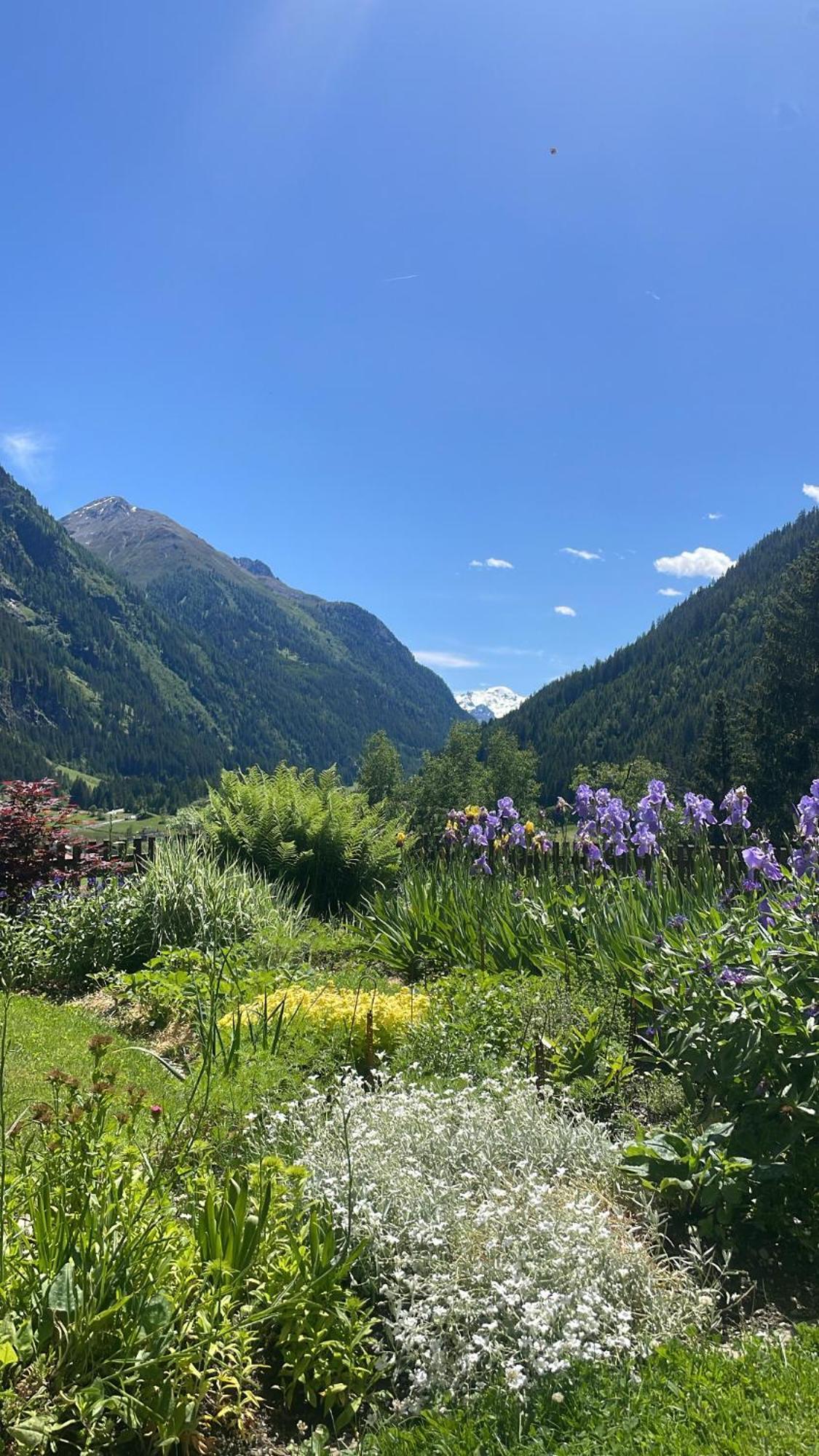 Appart Sonnenheim Kaunertal Exterior foto
